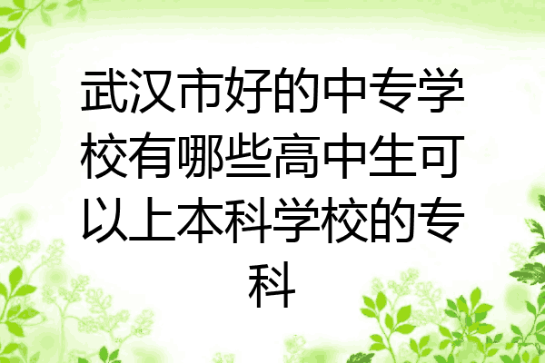 武汉市好的中专学校有哪些高中生可以上本科学校的专科