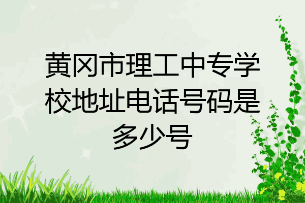 黄冈市理工中专学校地址电话号码是多少号