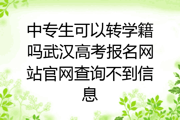 中专生可以转学籍吗武汉高考报名网站官网查询不到信息