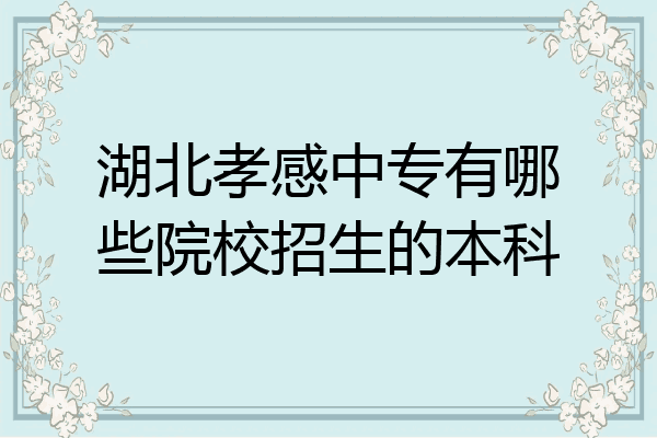 湖北孝感中专有哪些院校招生的本科