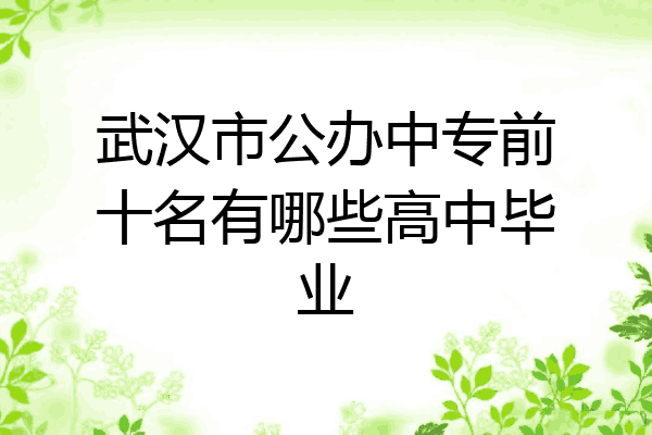 武汉市公办中专前十名有哪些高中毕业