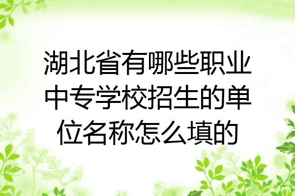 湖北省有哪些职业中专学校招生的单位名称怎么填的