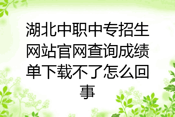 湖北中职中专招生网站官网查询成绩单下载不了怎么回事
