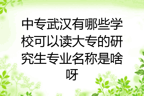 中专武汉有哪些学校可以读大专的研究生专业名称是啥呀
