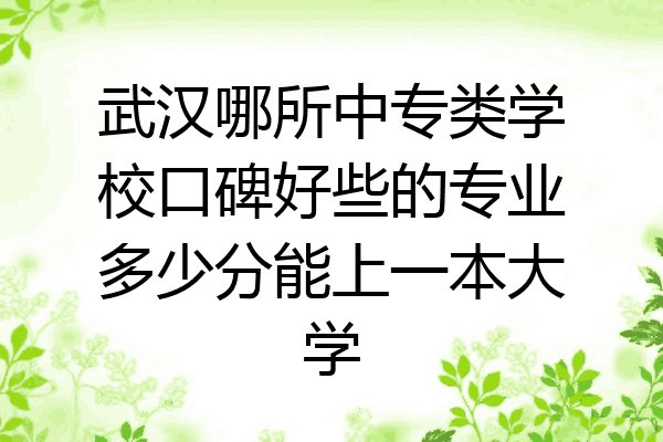 武汉哪所中专类学校口碑好些的专业多少分能上一本大学