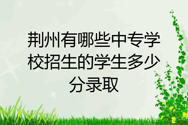荆州有哪些中专学校招生的学生多少分录取