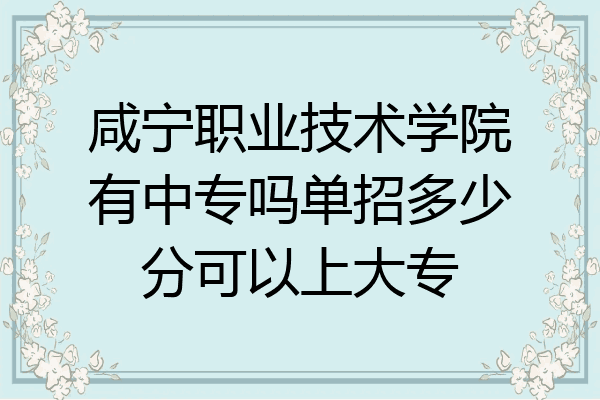 咸宁职业技术学院有中专吗单招多少分可以上大专