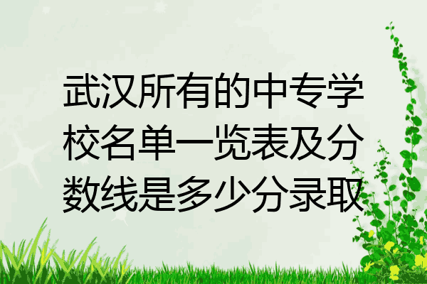 武汉所有的中专学校名单一览表及分数线是多少分录取
