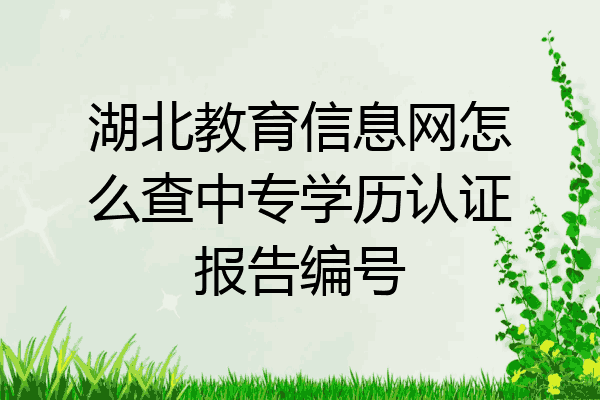 湖北教育信息网怎么查中专学历认证报告编号