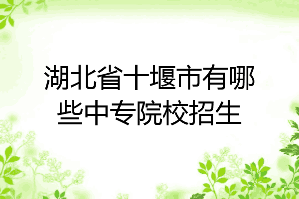 湖北省十堰市有哪些中专院校招生