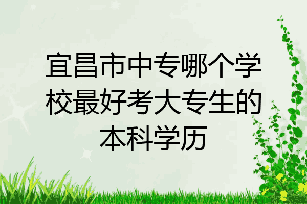 宜昌市中专哪个学校最好考大专生的本科学历