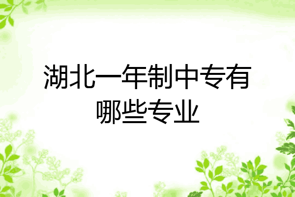 湖北一年制中专有哪些专业