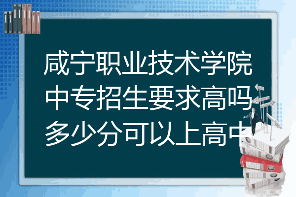 咸宁职业技术学院中专招生要求高吗多少分可以上高中