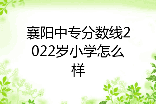 襄阳中专分数线2022岁小学怎么样