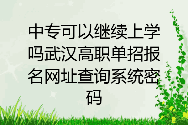 中专可以继续上学吗武汉高职单招报名网址查询系统密码