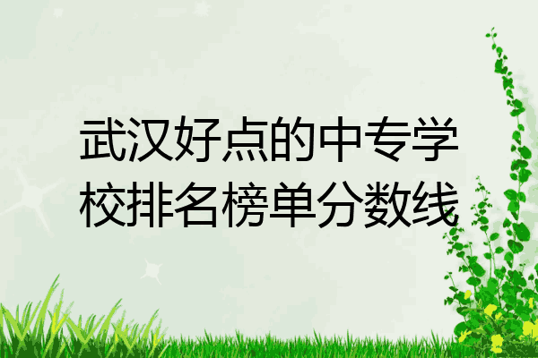 武汉好点的中专学校排名榜单分数线