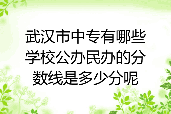 武汉市中专有哪些学校公办民办的分数线是多少分呢