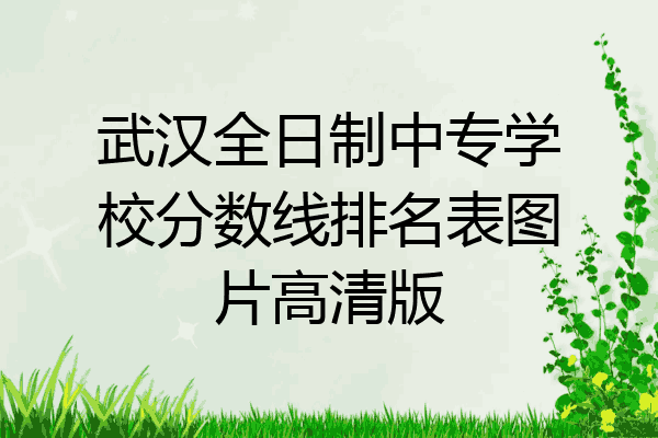 武汉全日制中专学校分数线排名表图片高清版