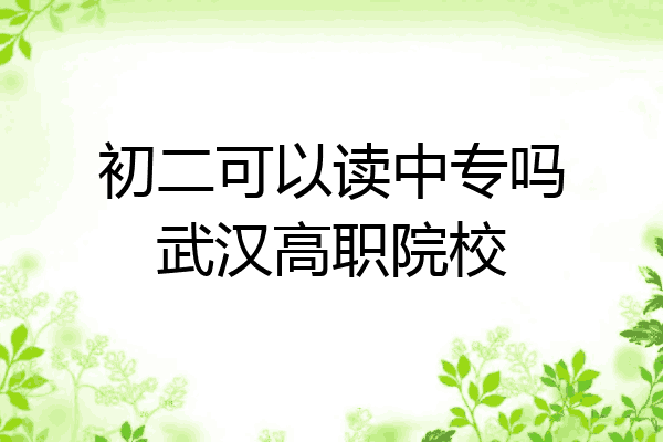 初二可以读中专吗武汉高职院校
