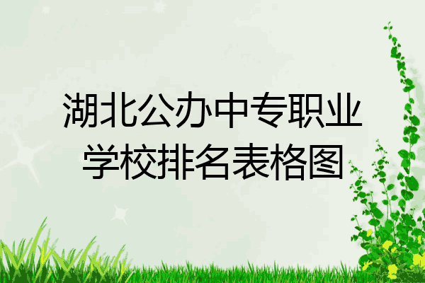 湖北公办中专职业学校排名表格图
