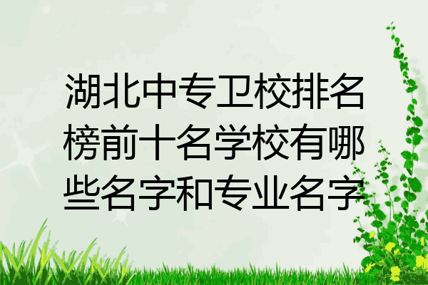湖北中专卫校排名榜前十名学校有哪些名字和专业名字