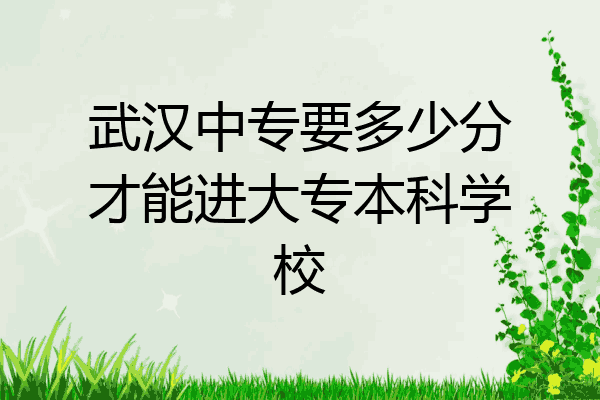 武汉中专要多少分才能进大专本科学校
