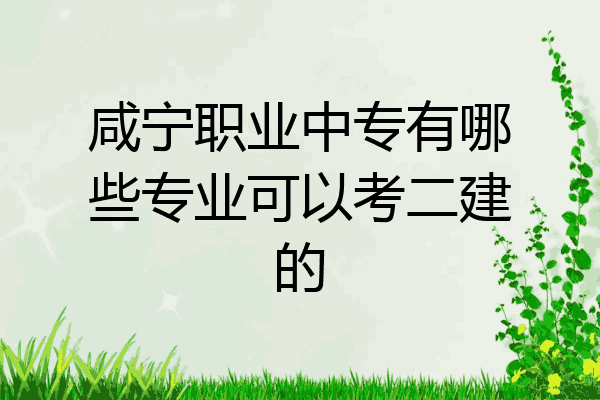 咸宁职业中专有哪些专业可以考二建的