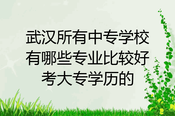 武汉所有中专学校有哪些专业比较好考大专学历的