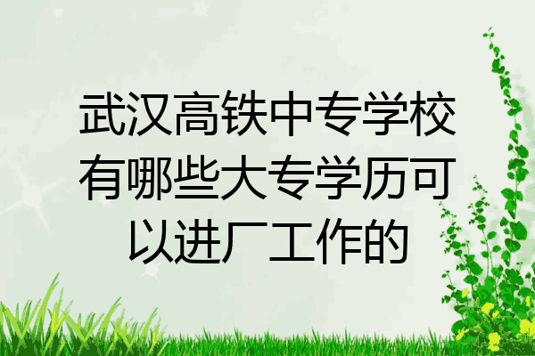 武汉高铁中专学校有哪些大专学历可以进厂工作的