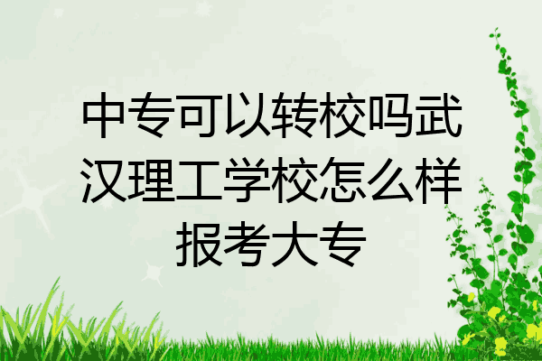 中专可以转校吗武汉理工学校怎么样报考大专