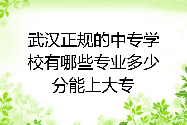 武汉正规的中专学校有哪些专业多少分能上大专
