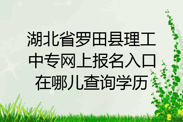 湖北省罗田县理工中专网上报名入口在哪儿查询学历