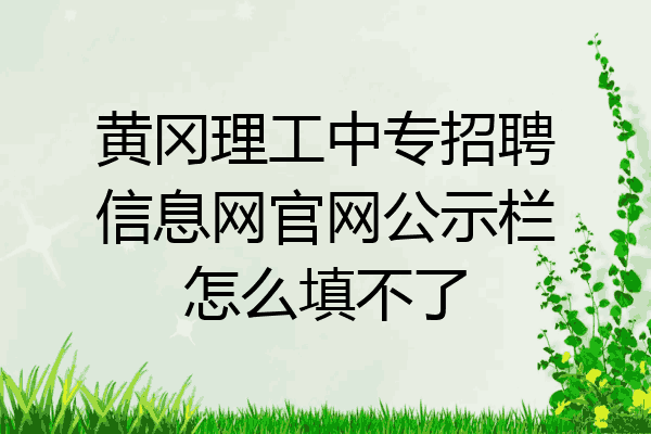 黄冈理工中专招聘信息网官网公示栏怎么填不了