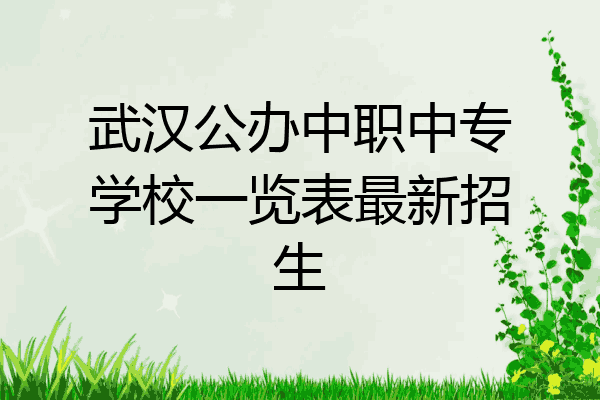 武汉公办中职中专学校一览表最新招生
