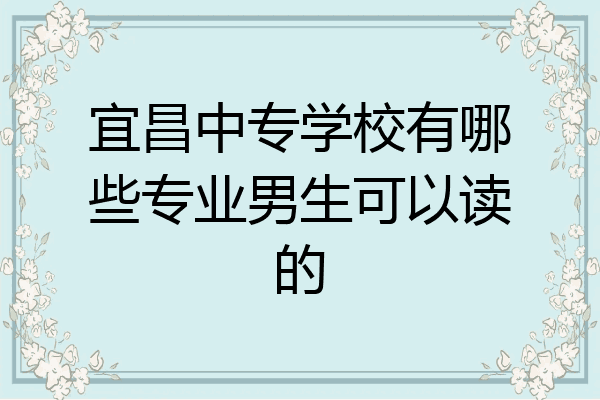 宜昌中专学校有哪些专业男生可以读的