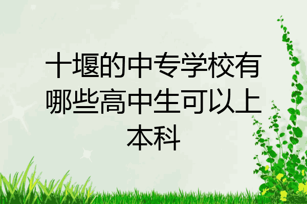 十堰的中专学校有哪些高中生可以上本科