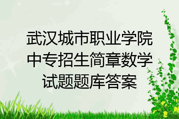 武汉城市职业学院中专招生简章数学试题题库答案