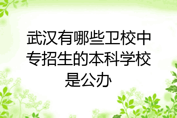 武汉有哪些卫校中专招生的本科学校是公办
