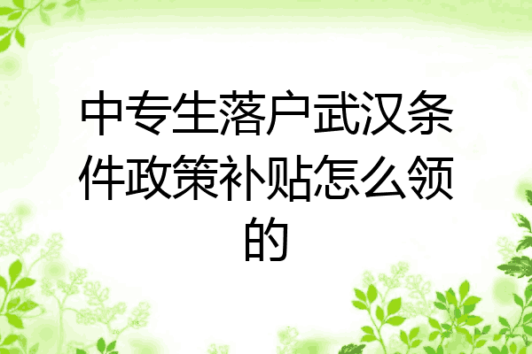 中专生落户武汉条件政策补贴怎么领的