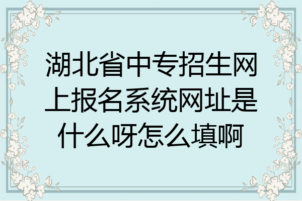 湖北省中专招生网上报名系统网址是什么呀怎么填啊