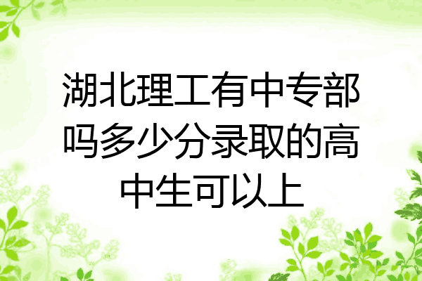 湖北理工有中专部吗多少分录取的高中生可以上
