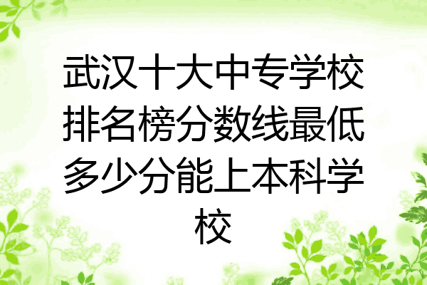 武汉十大中专学校排名榜分数线最低多少分能上本科学校