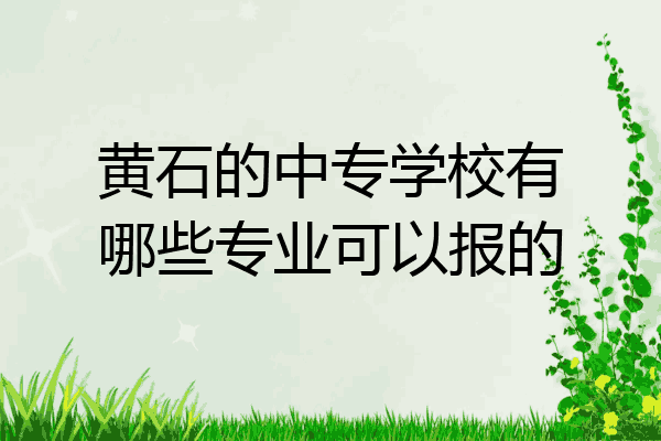 黄石的中专学校有哪些专业可以报的