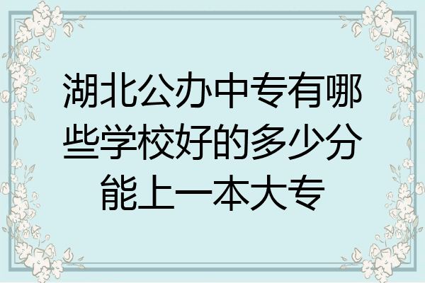 湖北公办中专有哪些学校好的多少分能上一本大专