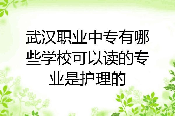 武汉职业中专有哪些学校可以读的专业是护理的
