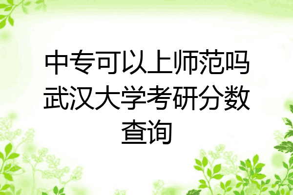 中专可以上师范吗武汉大学考研分数查询