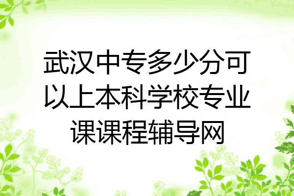 武汉中专多少分可以上本科学校专业课课程辅导网