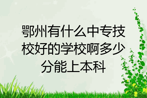 鄂州有什么中专技校好的学校啊多少分能上本科