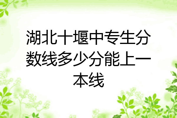 湖北十堰中专生分数线多少分能上一本线