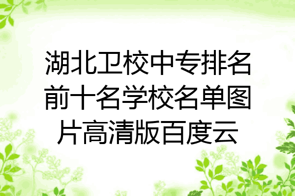 湖北卫校中专排名前十名学校名单图片高清版百度云